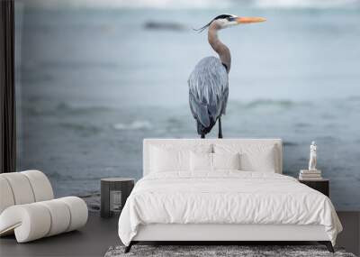 A Great Blue Heron perches majestically on a rock in the Saint Lawrence River Wall mural