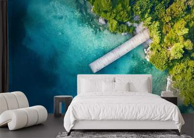 Aerial landscape with blue water and wood Wall mural