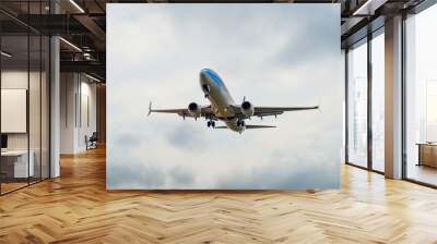 airplane in the sky Wall mural