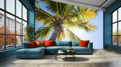 bottom view palm tree isolated on blue sky background, presentation with copy space Wall mural