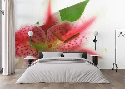 pink lilly Wall mural