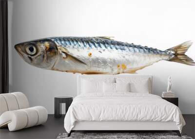 sardine fish cutout isolated on white, side view on transparent png background	 Wall mural