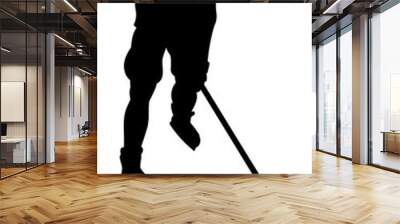 A detailed silhouette ice hockey player sports illustration Wall mural