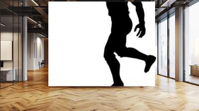 Baseball Player Silhouette Wall mural