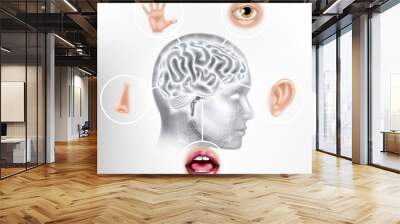 Five senses brain AI human head artificial intelligence or learning technology concept Wall mural