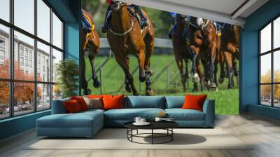 Race Horses Running Legs Hoofs Grass Track Wall mural