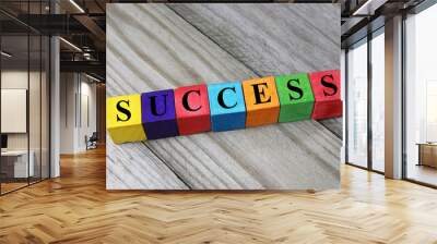 word success on woden cubes Wall mural