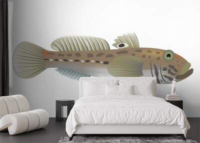 Illustration of a round goby, Neogobius melanostomus Wall mural