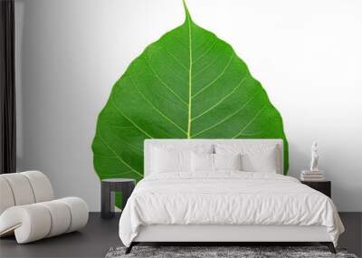 Green bodhi leaf of buddha isolated on white background Wall mural