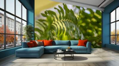 green fern leaves Wall mural