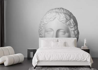 Gypsum head of Venus de Milo Wall mural