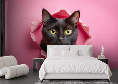 A cute red cat with a bow against a pink background Wall mural