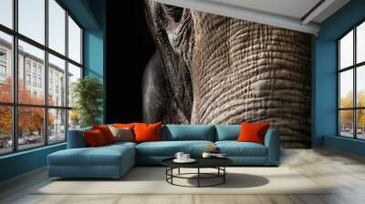 Elephant close up Wall mural