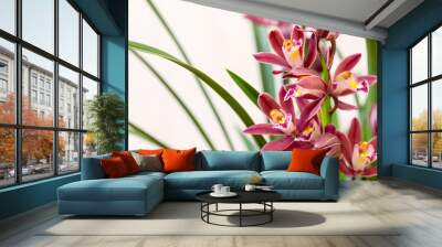 orchids closeup in spring Wall mural