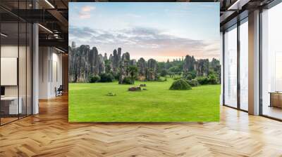 stone forest scenic Wall mural