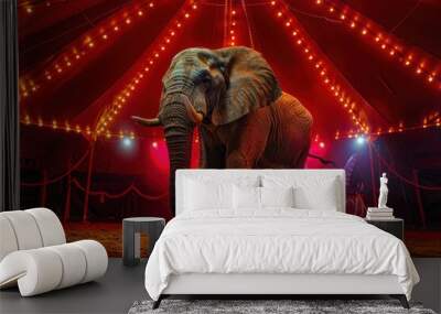 A photograph of a large elephant stands out in a circus' red tent decorated with bright red lights. Wall mural