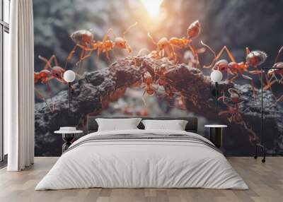 Ants help carry food. Red ant team. Unity of ants. Wall mural