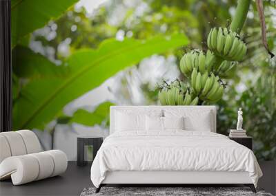 raw banana Wall mural