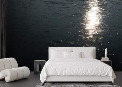 frozen lake and sun glare Wall mural