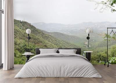 A view of green forest and the sky on hills from the top of hill Wall mural