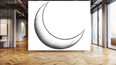 Scratchboard Engraved Icon of Moon Wall mural