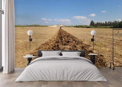 A tractor plowing a field to prepare it for winter wheat planting and its first trace Wall mural