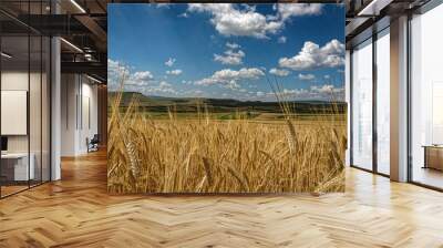 Wheat Field with cloudy blue sky Wall mural