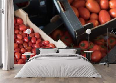 Red tomatoes in cardboard boxes. View from above Wall mural