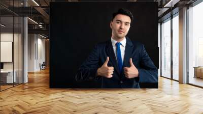 Portrait of business man wearing blue business suit and tie showing double like gesture Wall mural