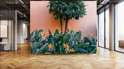 Vertical shot of Bird of paradise flowers in a garden Wall mural