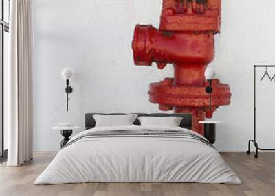 Fire fighting nozzle Wall mural