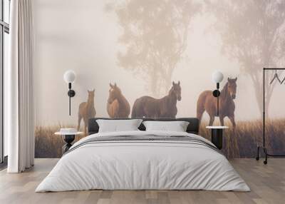 herd of horses in fog Wall mural