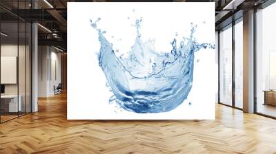 water splash isolated on white background,water  Wall mural