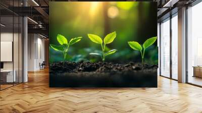 Close-up of young green seedlings sprouting from rich soil under warm sunlight, symbolizing growth, sustainability, and the beginning of new life. Wall mural