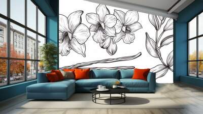 A set of Vanilla Blossoms and Stems, hand-drawn illustrations of an Orchid Blossom and seedpods on a separate background, bundled with a sketch of a spice in a linear art style created with black ink. Wall mural