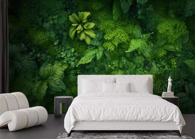 Green plants and trees seen from above in a dense forest. Wall mural