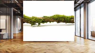 Lush moss on a deteriorating branch, set against a white background. Wall mural