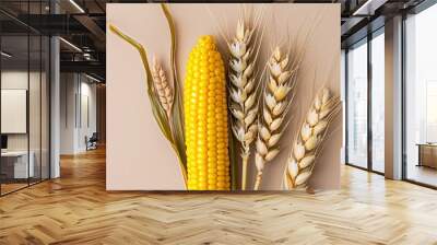 One corn and two wheat with trimmed leaves. Wall mural