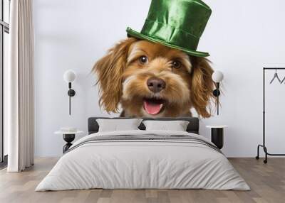 An happy dog portrait with a hat for St. Patrick's Day on a white background Wall mural