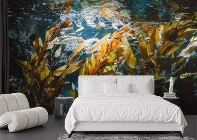 Underwater view of green plants Wall mural