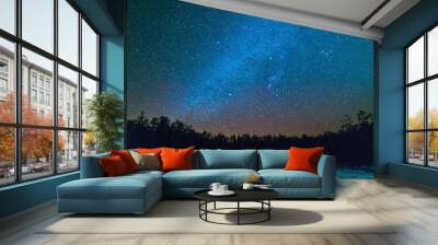 Frozen pond in winter at night with the milky way and stars Wall mural