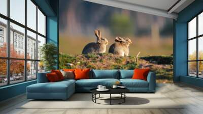 Yawning young rabbit (Oryctolagus cuniculus) Wall mural