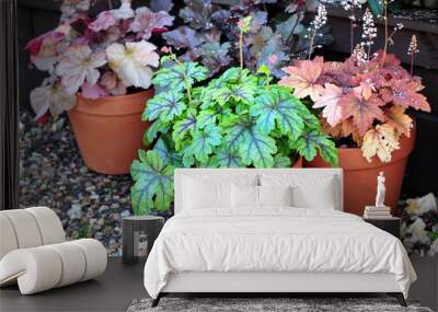 heucheras Wall mural