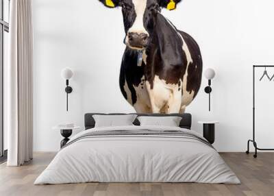 Cow isolated on white, standing upright black and white, full length and front view and copy space Wall mural