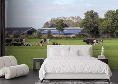 Herd cows grazing in the pasture, in landscape of flat land panoramic wide view Wall mural