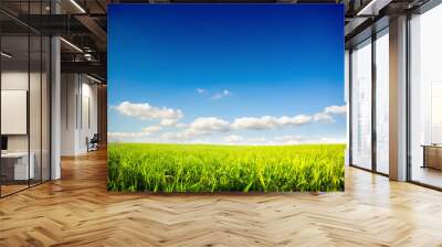 Green field and blue sky Wall mural