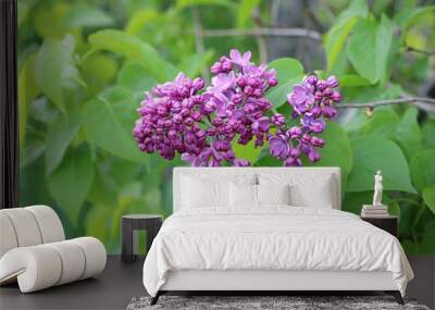 lilac bush Wall mural