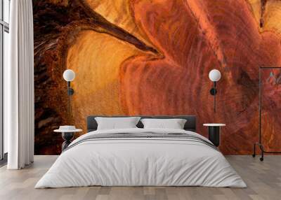 Closeup of the inside of a sequoia tree trunk
 Wall mural