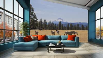 Horses in front of Mount Hood, Oregon Wall mural