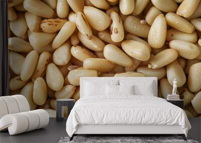 Food close-up. Pine nuts Wall mural